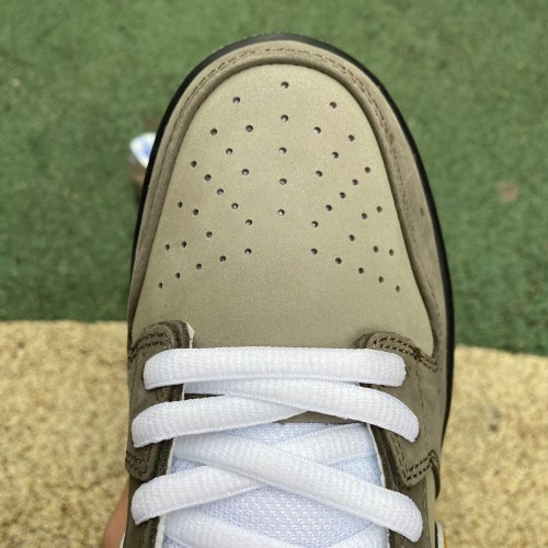 Nike SB Dunk Low shoes