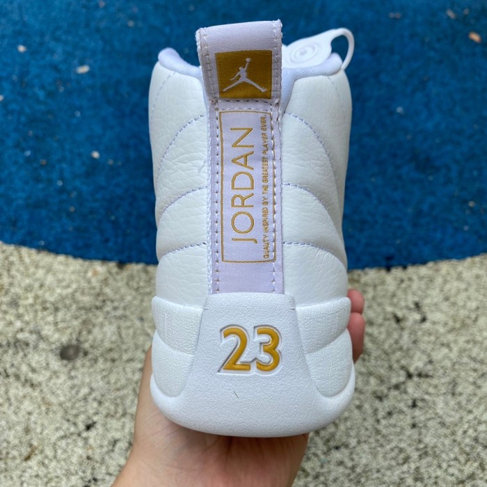 Air Jordan 12 WMNS  Phantom