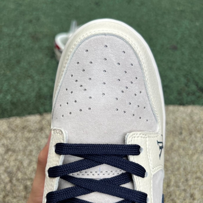 Nike Dunk x Louis Vuitton