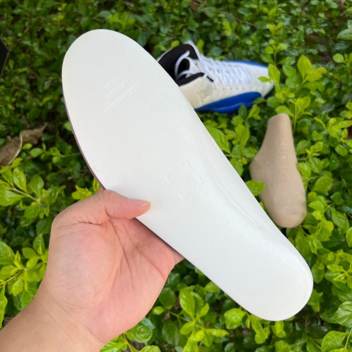 Air Jordan 12 Blueberry