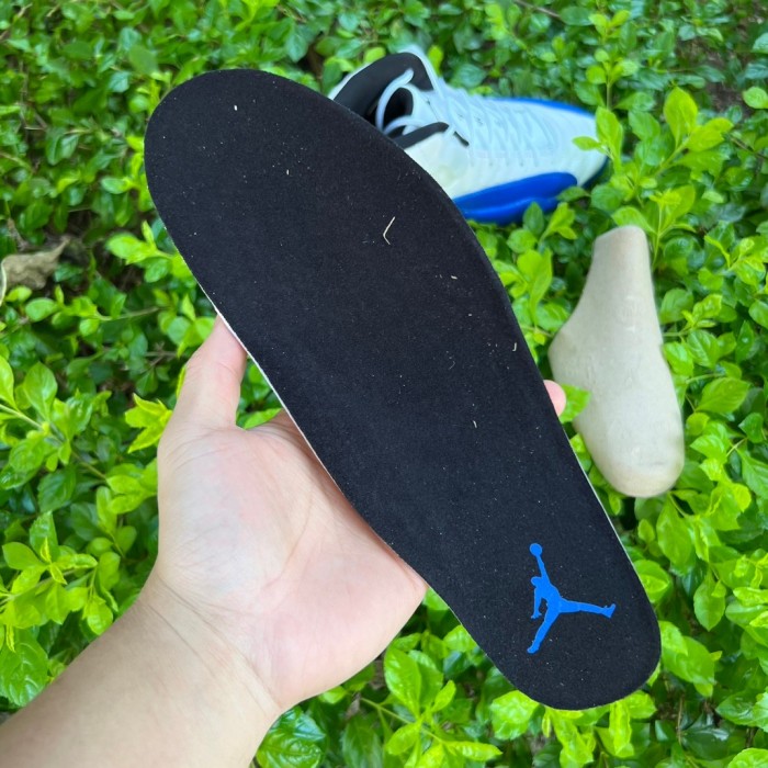 Air Jordan 12 Blueberry