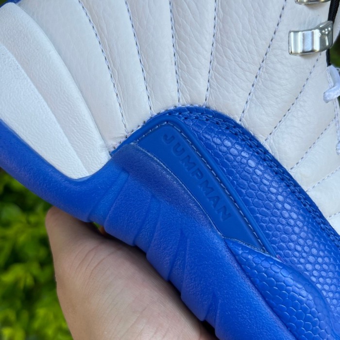 Air Jordan 12 Blueberry
