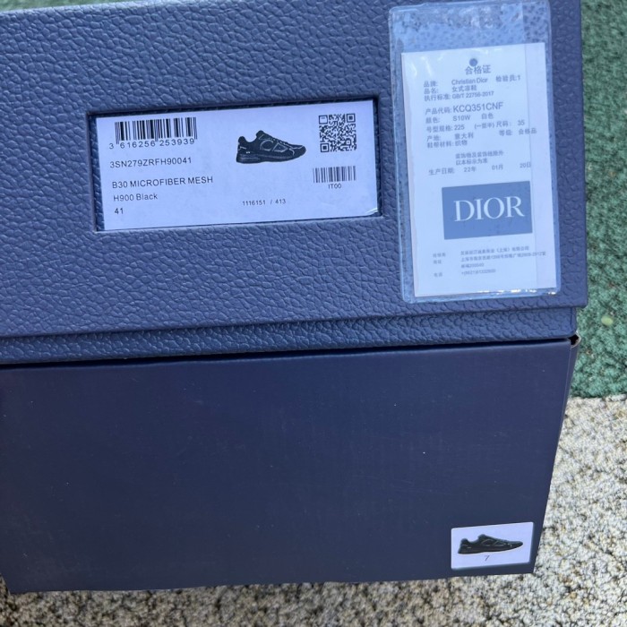 Dior B30 shoes