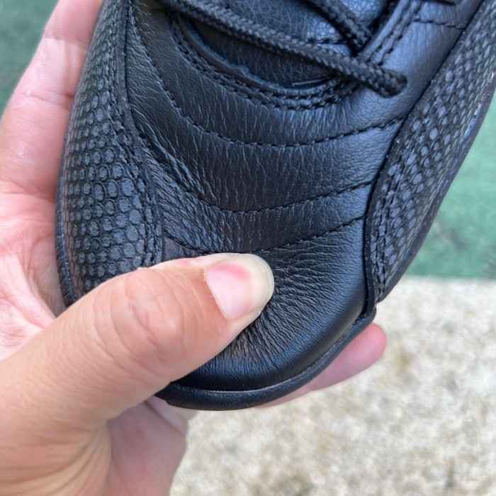 Air Jordan 12 Retro The Master