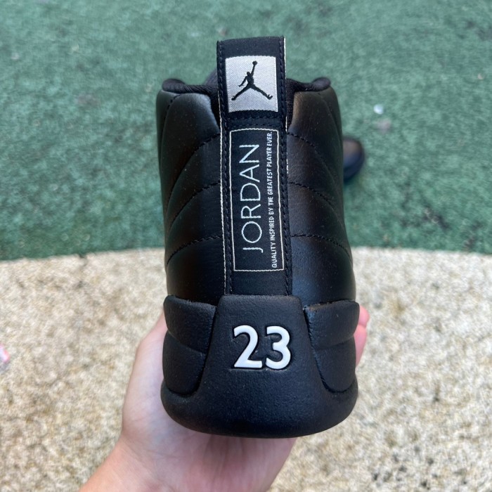 Air Jordan 12 Retro The Master