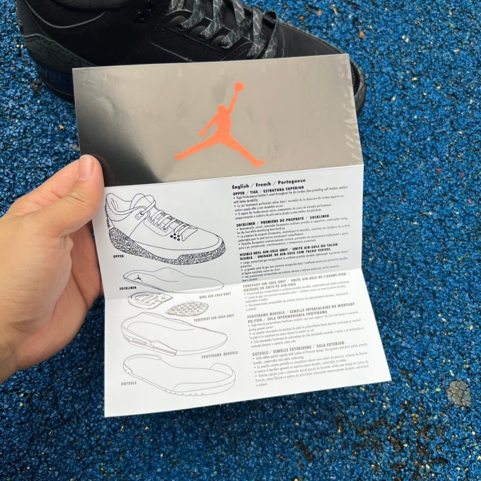 Air Jordan 3 Retro Black Cat