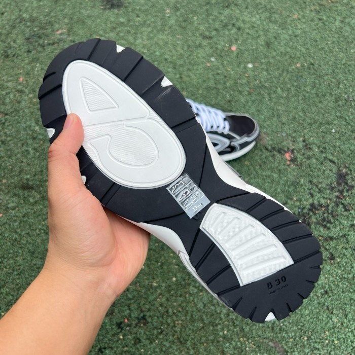 Dior B30 shoes