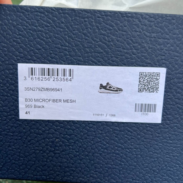 Dior B30 shoes