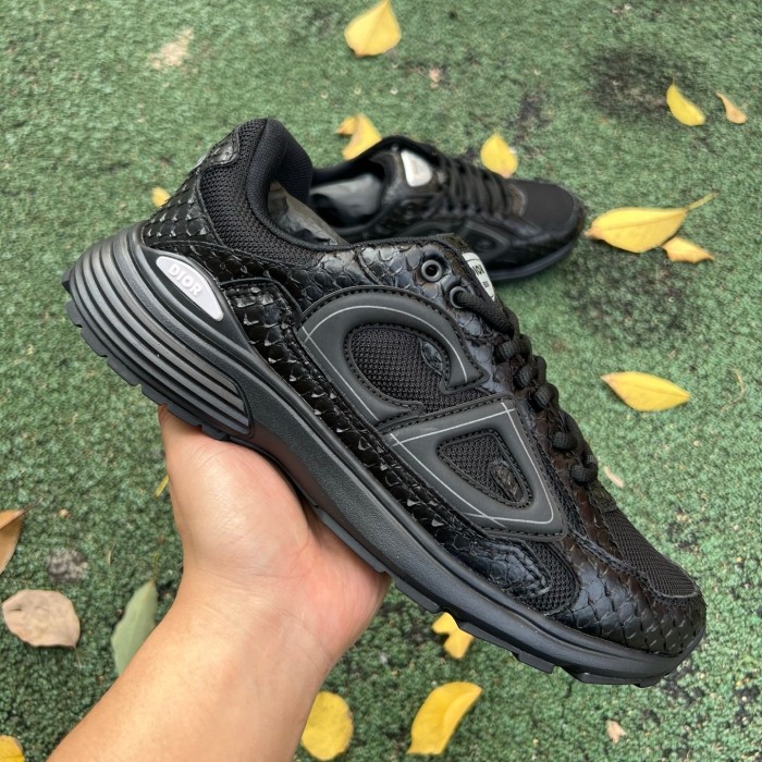 Dior B30 shoes