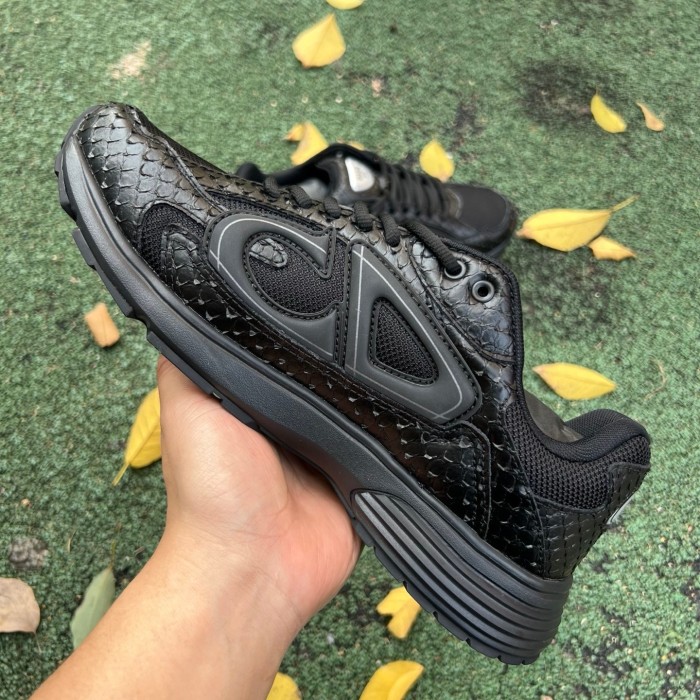 Dior B30 shoes