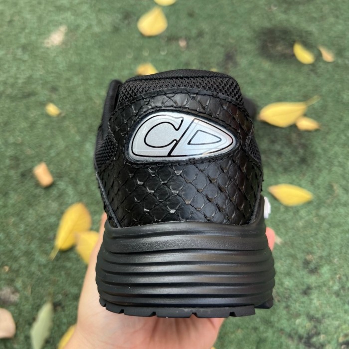 Dior B30 shoes
