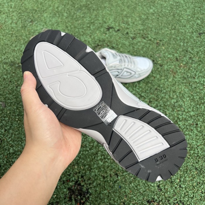 Dior B30 shoes