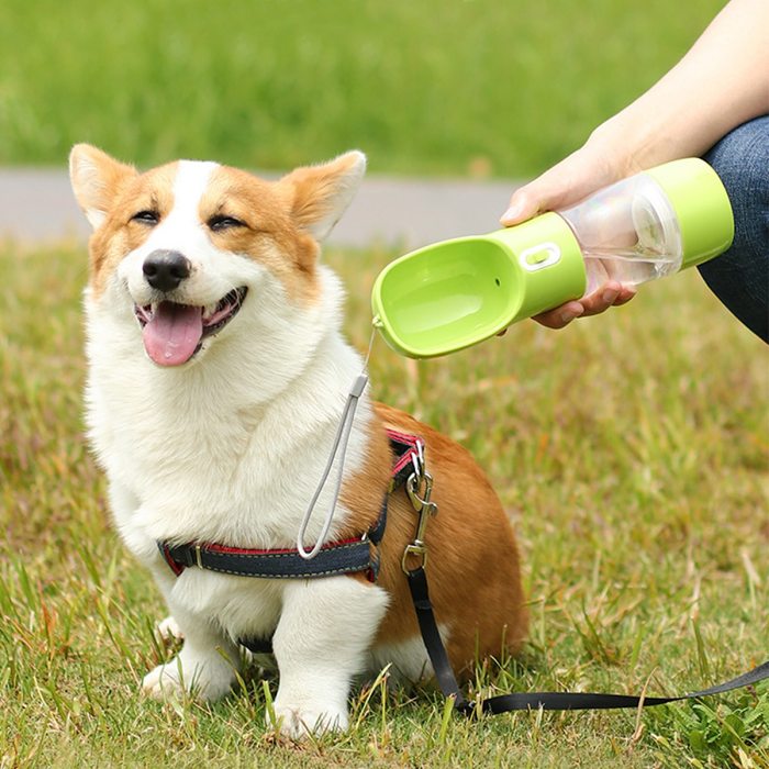 Pet drinking cup