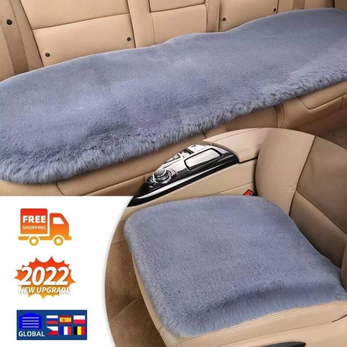 Vehicle cushion