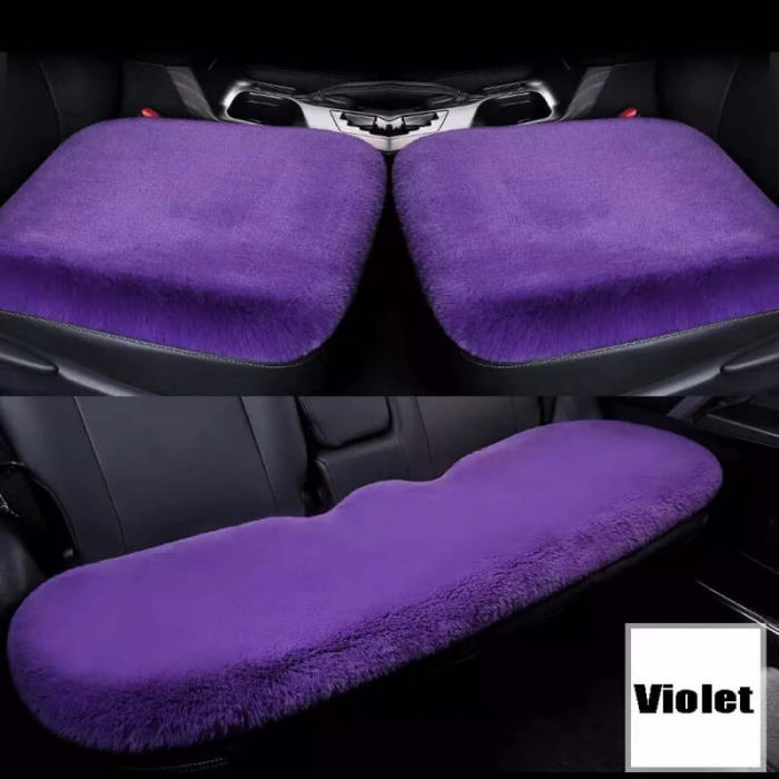 Vehicle cushion