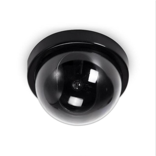 Rooftop surveillance camera