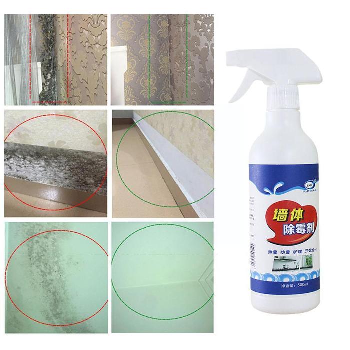 Mold Remover