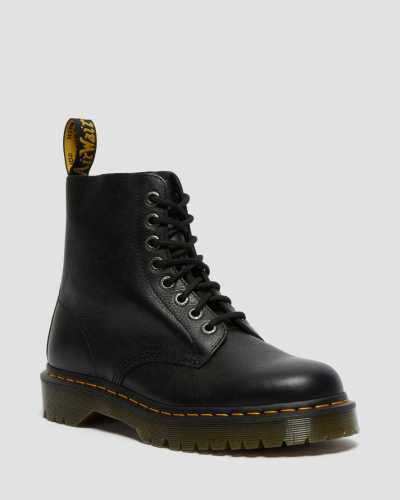 out n about plus conquest sorel