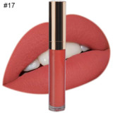 Makeup Matte Lipstick Liquid Waterproof Long Lasting Red Velvet Brown Nude Tint Lip Gloss