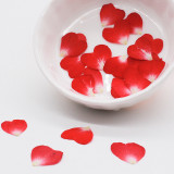 250pcs 1cm Heart Shape Pressed Dried Rose Flower Petals For Jewelry Bookmark Photo Frame Phone Case Postcard Making