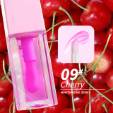 Color Changing Clear Lip Gloss Plumper Flavoring Oil Fruit Tint Glow Private Label Lip Oil  Fruit