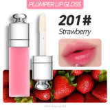 3ML Color Changing Clear Lip Gloss Flavoring Lip Plumper Oil Fruit Tint Glow Private Label Lip Oil  Fruit
