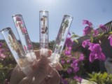 Wholesale Fruit Flavor Transparent Lip Gloss Vegan Cruelty Free