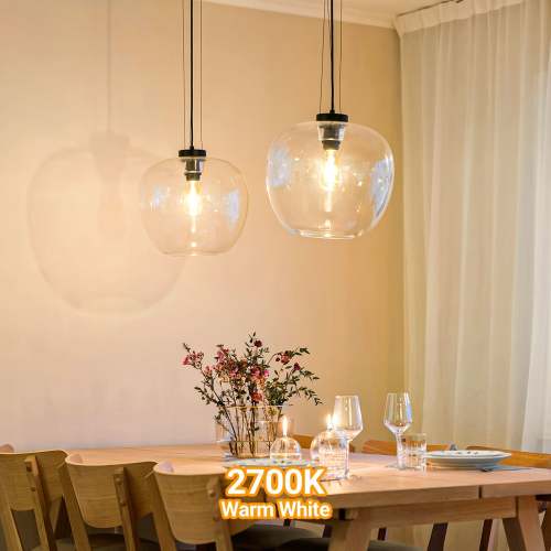 LED Edison bulb 8W, 1100 lumens dimmable LED bulb, 5000K cool white & 2700K warm white, 4000K daylight white, ST21/ST64 LED filament bulb, CRI 85+, E26 medium screw base, flicker-free, 6-pack, ETL certified