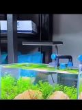 Aquarium Light, Fish Tank Light, Color-Changing RGB Light, Aquatic Plant Light, Landscaping Fixture, Smart Universal Plant Grow Light