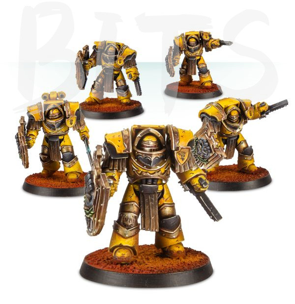 Imperial Fists Cataphractii Terminators with Storm Shields bits