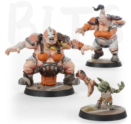 Blood Bowl Ogre Team Booster bits