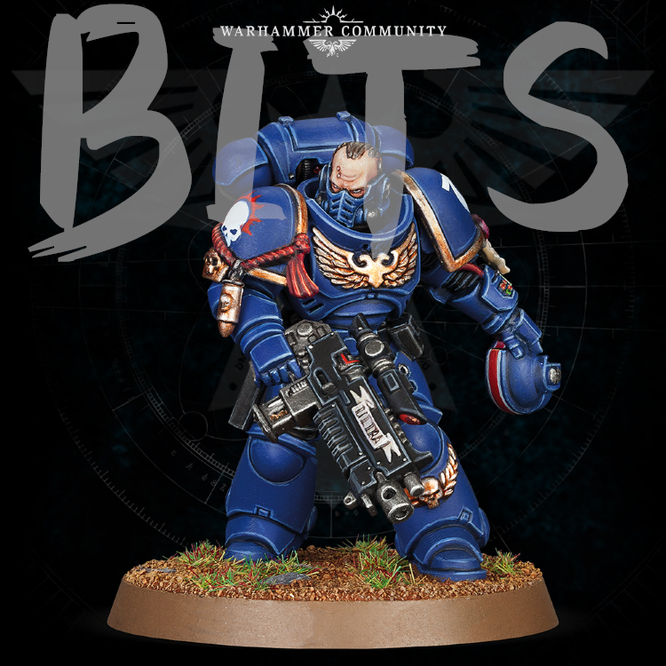 The 500th Store Anniversary Primaris Lieutenant Limited Edition bits