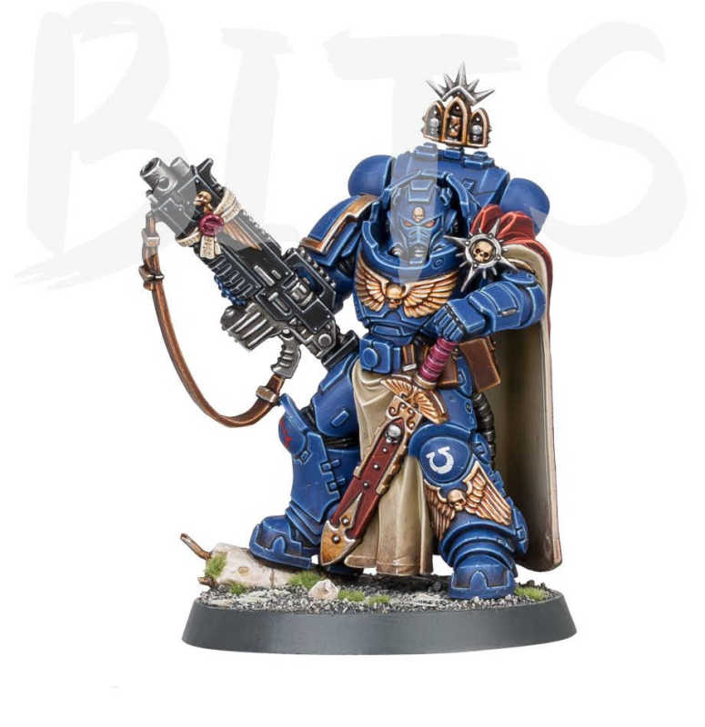 Captain with Master-crafted Heavy Bolt Rifle  Captain in Gravis Armor bits