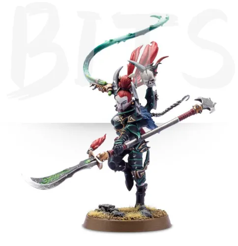 Dark Eldar Succubus bits