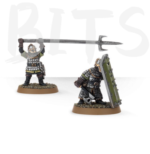 Dwarf Vault Warden Team bits