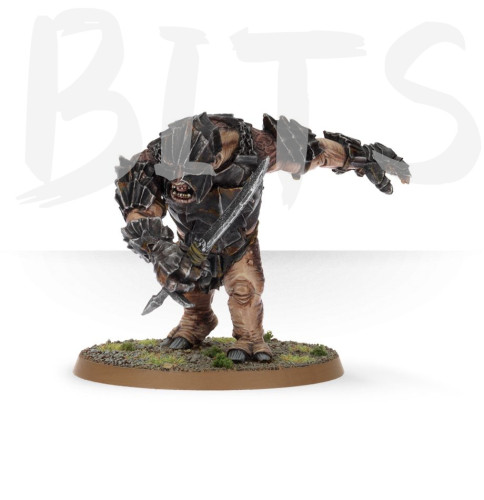 Mordor Troll Chieftain bits
