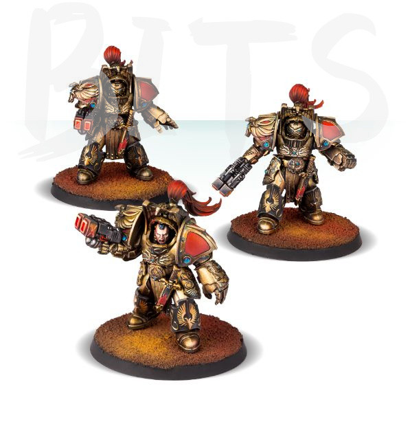 Adeptus Custodes Legio Custodes Aquilon Terminators bits