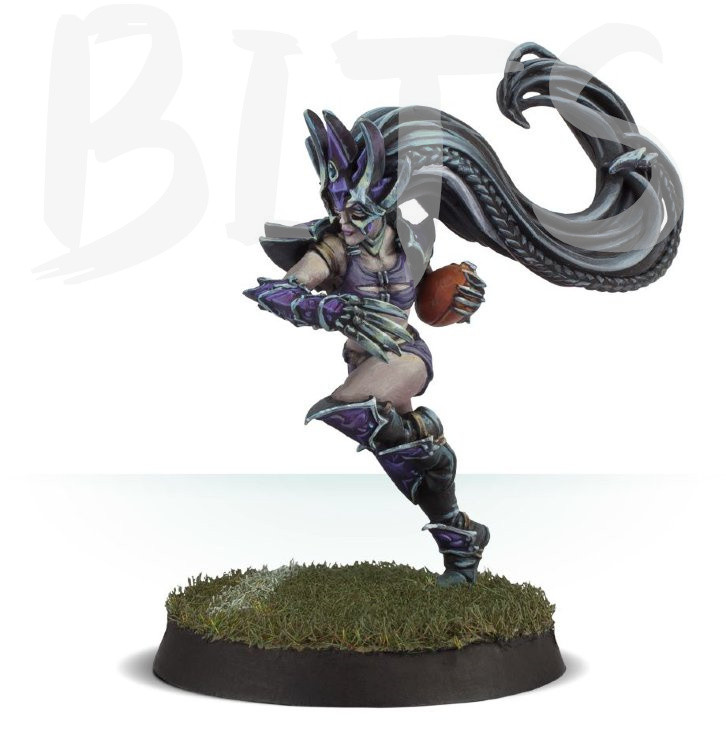 Blood Bowl Roxanna Darknail bits