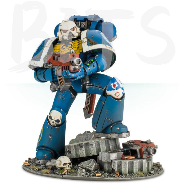 Imperial Space Marine bits