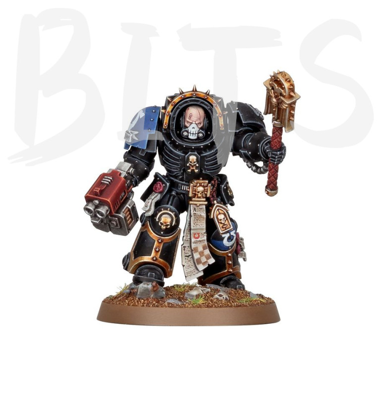 Chaplain in Terminator Armour bits