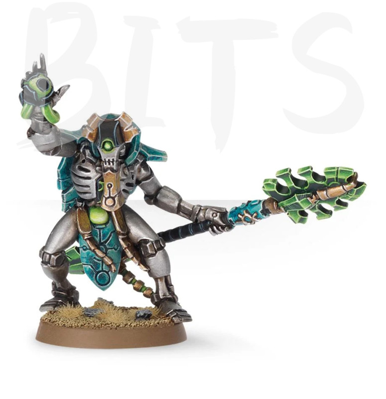 Necron Cryptek bits