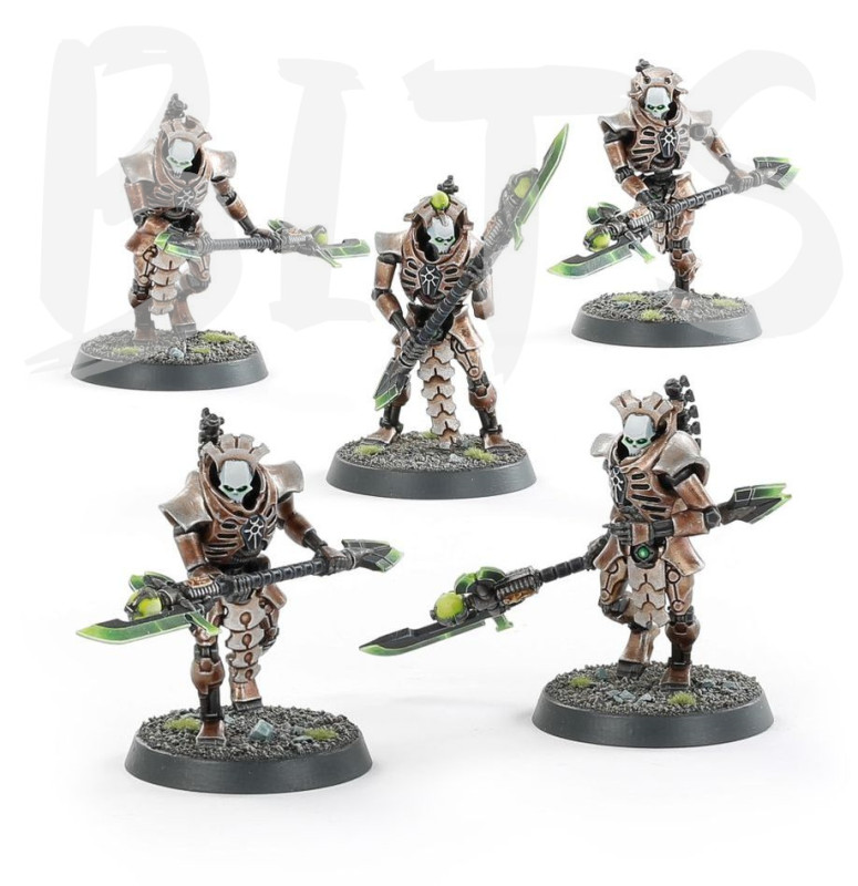 Necrons Lychguard / Triarch Praetorians bits