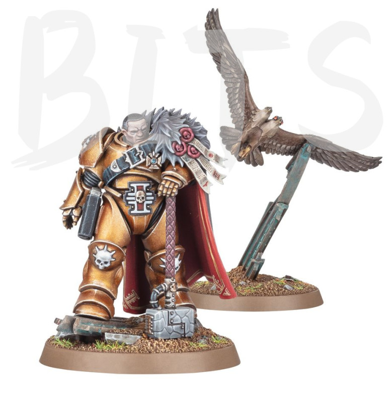 Inquisitor Coteaz bits