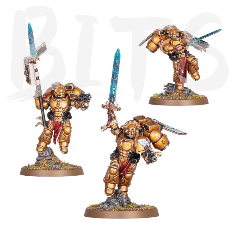 Blood Angels Sanguinary Guard bits