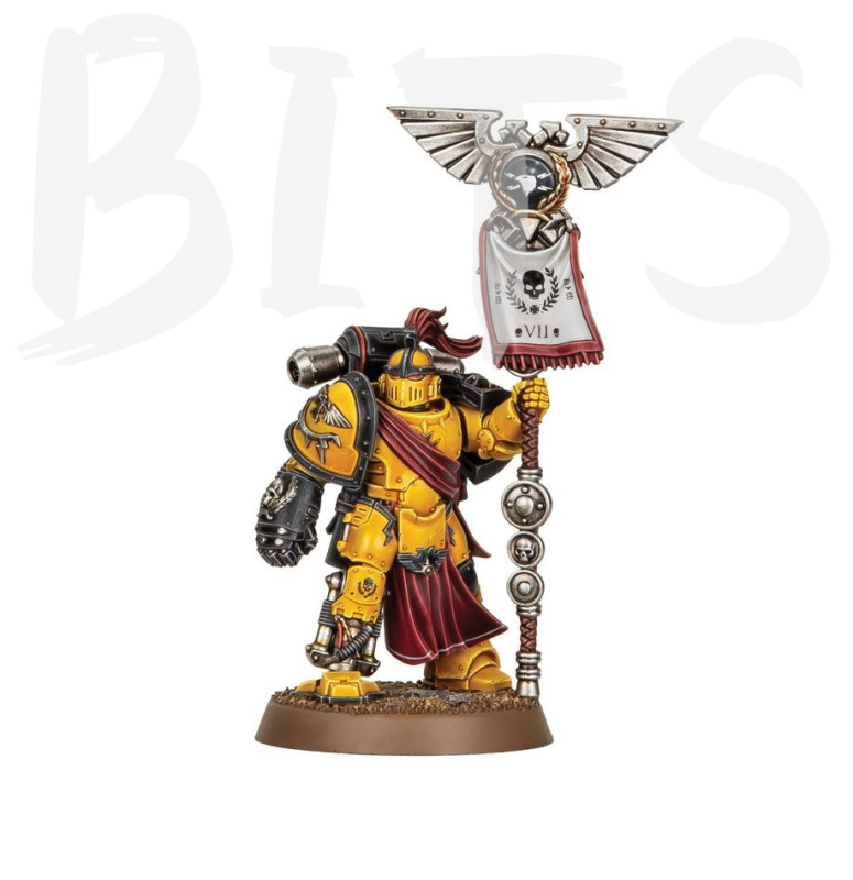 Imperial Fists Loyalist Herald Consul bits