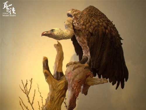 【Pre Order】Original Model Studio The Gyps Vultures Resin Statue Deposit