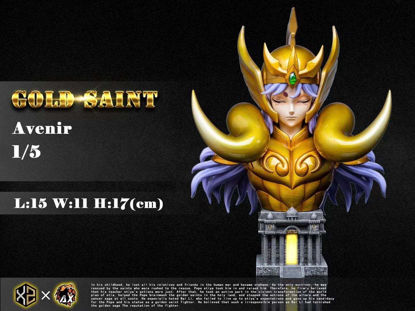 seiya様 Amazon.com: TAMASHII NATIONS Bandai Saint Cloth Legend EX