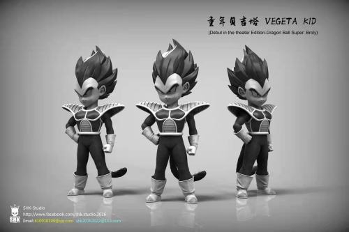【Pre order】SHK Studio Dragon Ball Z The Lifetime Of Vegeta Resin Statue Deposit