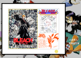 【In Stock】Bleach: Thousand-Year Blood War First broadcast commemorative decorative picture frame