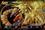 【Pre order】Sky Top Studio Dragon Ball Z Son Goku Vs Vegeta WCF Resin Statue